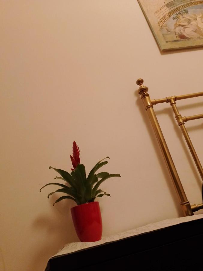 Big Room In Private Appartament, Close To The Station And Center Of City 베르가모 외부 사진